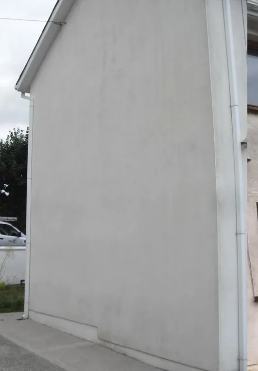 Render after soft washing