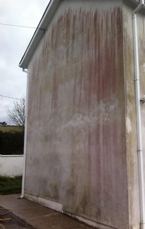 Render before soft washing