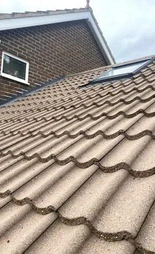 Roof after professional cleaning