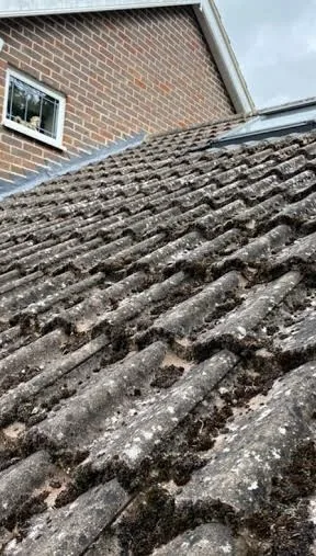 Roof before professional cleaning